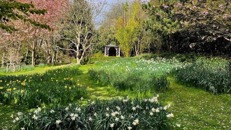 tuin bloemen lente bomen pergola paradijs