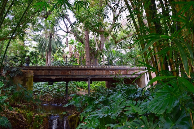 Tuin en fontein in Sintra-brug in tuin