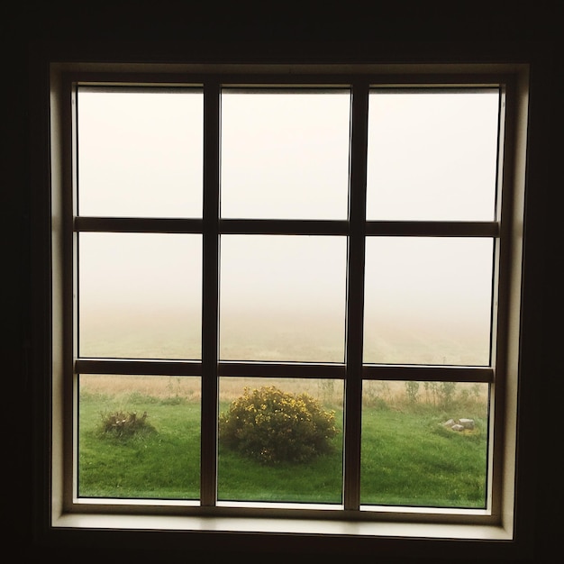 Foto tuin gezien door het raam bij mistig weer
