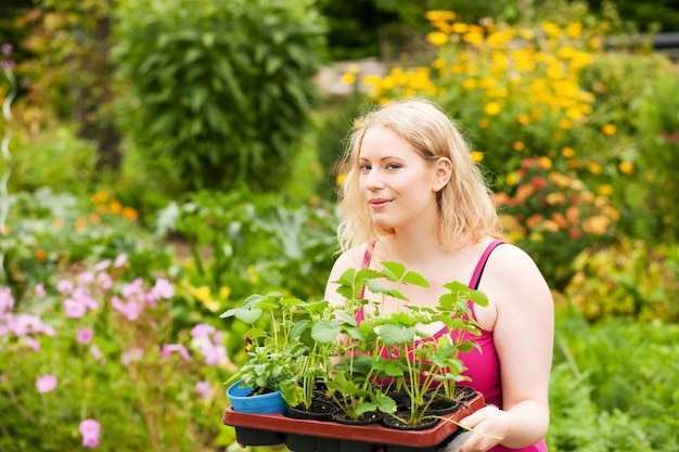 Tuin - het planten van aardbeizaailingen