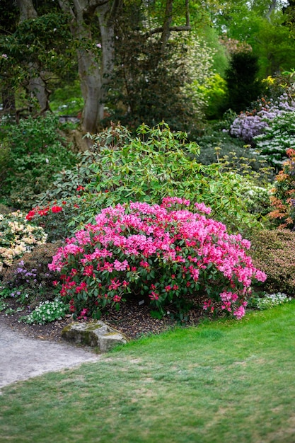 Tuin met bloeiende bomen in de lente