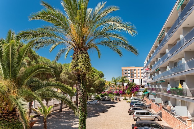 Tuin met parkeerplaats en palmbomen in een appartementencomplex