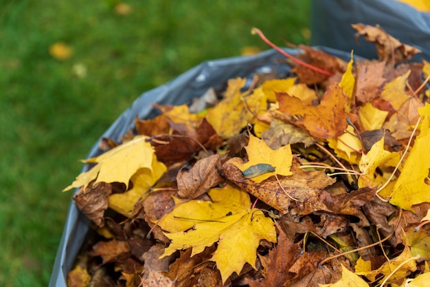 Tuin schoonmaken in de herfst. Herfstblad verzamelen .. Het concept van netheid. Milieubescherming.