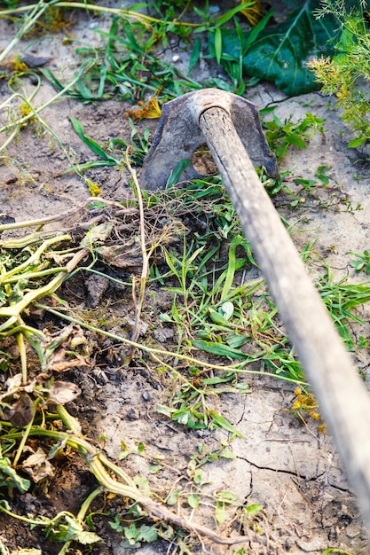 Tuin schoonmaken van gras met hakselaar