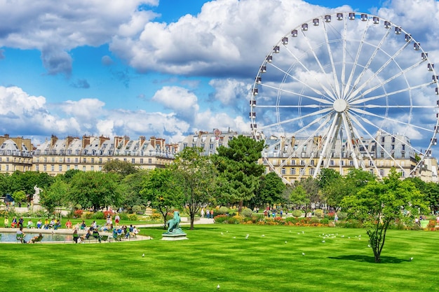 Tuin van Tuileries en reuzenrad Parijs Frankrijk
