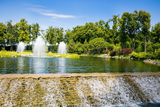 Tuinaanleg in de tuin Het pad in de tuin Prachtig landschapsontwerp achtertuin Enkele bloemen en mooi gesnoeide struiken op de genivelleerde voortuinLandschap formeel