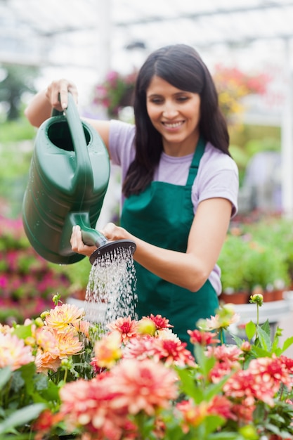 Tuincentrumwerker water gevende planten