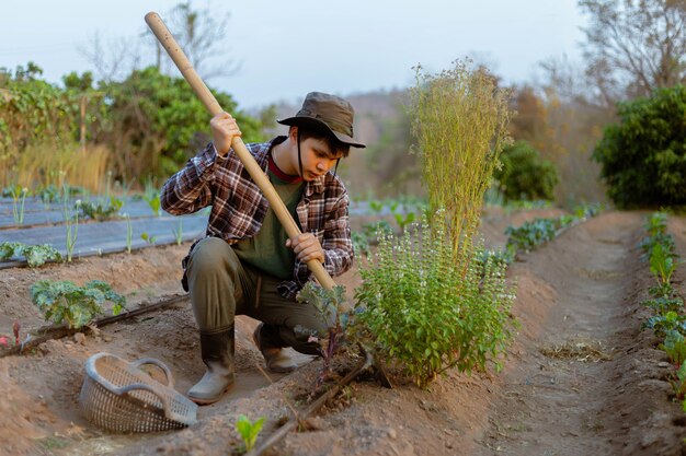 Tuinconcept een jonge boer die het vuil rond de planten schept om zuurstof gemakkelijk door de wortels te laten komen.