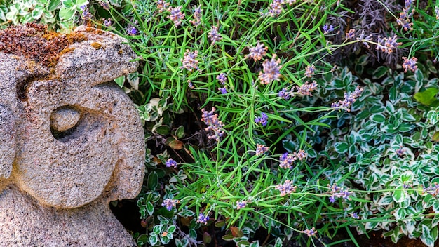 Tuindecoraties gemaakt van stenen en stenen sculpturen tussen mooi groen