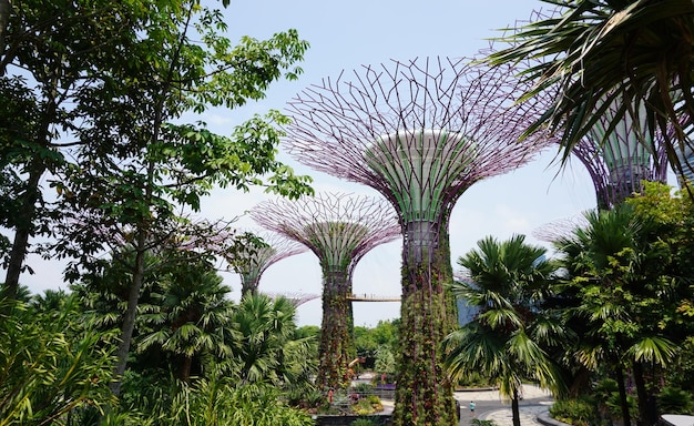 Tuinen bij de baai Singapore