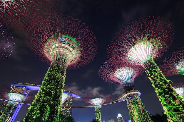 Tuinen door de baai bij nacht, Singapore