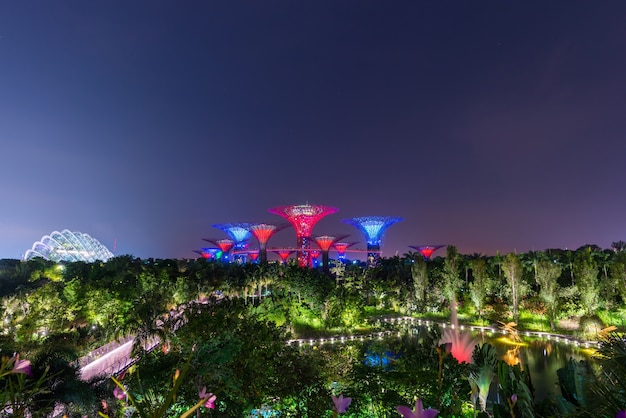 Foto tuinen door de baai in de stad van singapore