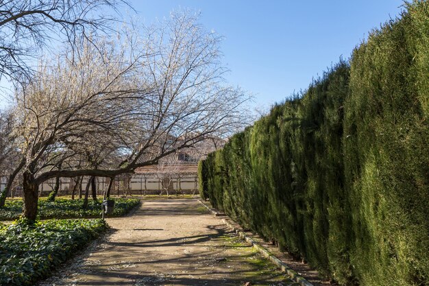 Tuinen in het paleis van de Infanterie Guadalajara Spanje