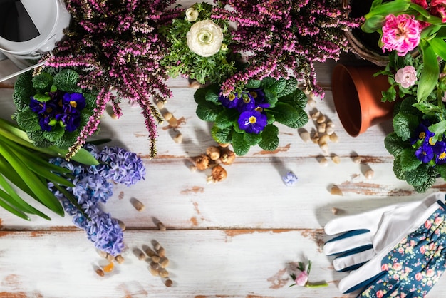 Tuingereedschap en bloemen in de potten