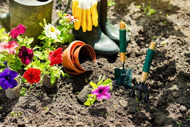 Tuingereedschap en bloemen in de tuin zoals gieter rubberen laarzen vazen potten rubberen handschoenen