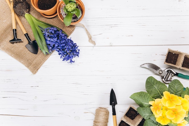 Tuingereedschap en bloemen op witte houten achtergrond bovenaanzicht Huis lente tuinieren hobby's