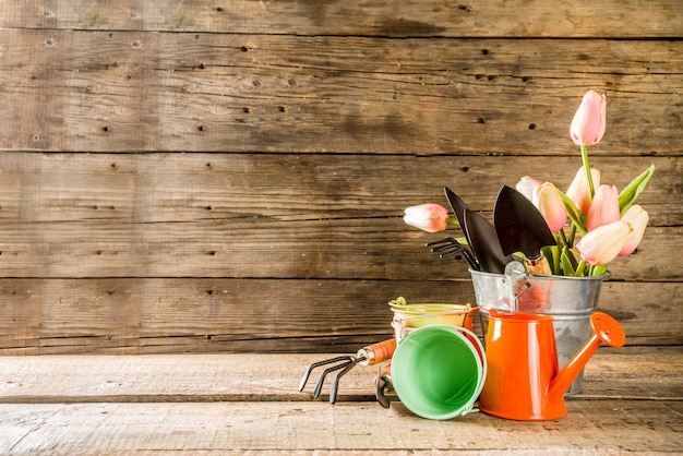 Tuingereedschap en bloemen