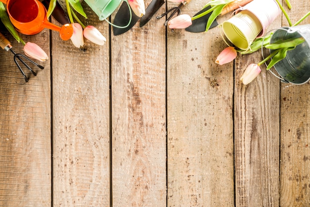 Tuingereedschap en bloemen