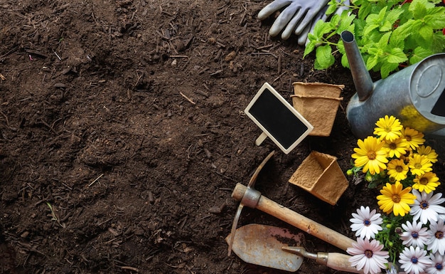 Tuingereedschap en bloemplant op grondachtergrond kopie ruimte Landbouw en tuinieren