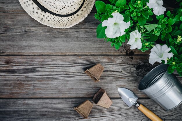 Tuingereedschap en bloempotten met roze petunia-bloemen voor tuinieren Bovenaanzicht kopieerruimte