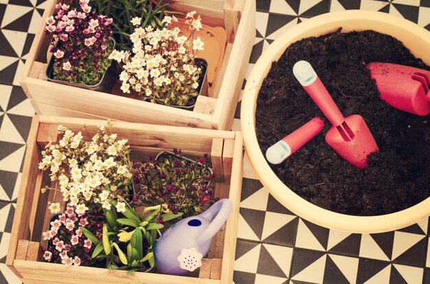 Tuingereedschap en zaailing van lentebloemen voor planten op bloembed in de tuin, patio of terras.