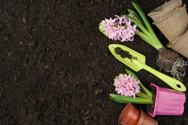 Tuingereedschap hyacint bloemen turf potten op de achtergrond van de bodem Lentetuin concept plaats voor tekst