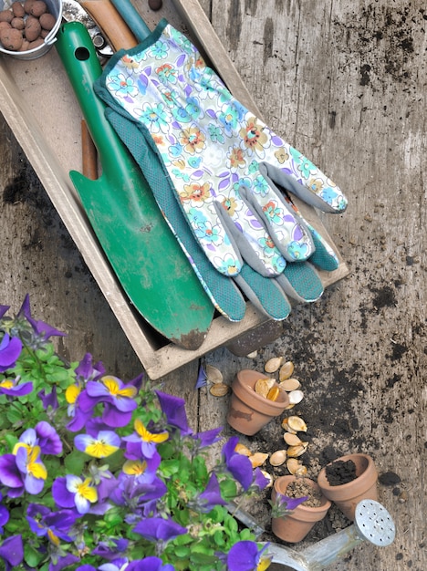 Tuingereedschap op een doos met zaden en bloemen