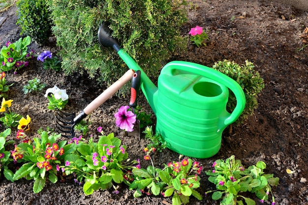 Tuingereedschap schop, hark, gieter en bloemen van sleutelbloemen, petunia, viooltjes en thuja smaragd