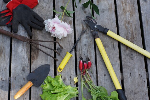 tuingewas en delicate pioenroos bloem op houten achtergrond