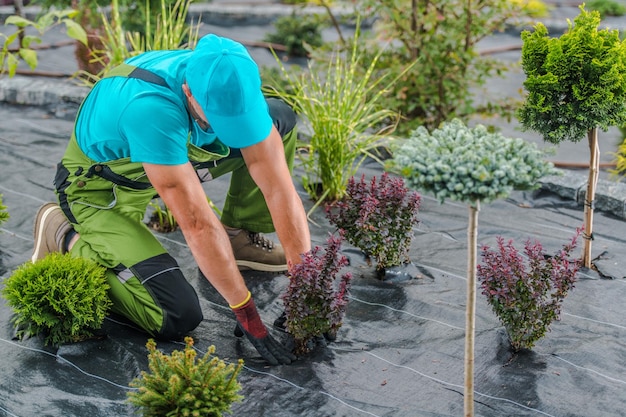 Tuinier plant een bloeiende struik