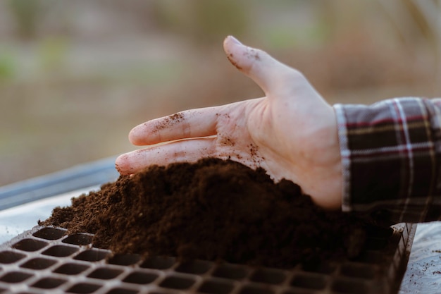 Tuinieren concept twee hand van een tuinman die rijke zwarte aarde in de kwekerij brengt en zich voorbereidt op het kweken van zaailingen.