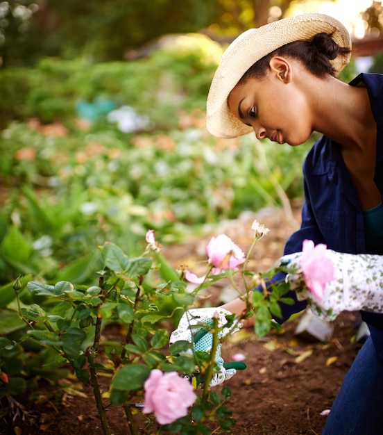 Tuinieren is liefdeswerk Shot van een jonge vrouw die de rozen in haar tuin trimt
