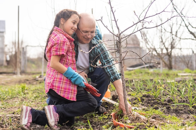 tuinieren, opa en kleindochter in de tuin bomen snoeien.