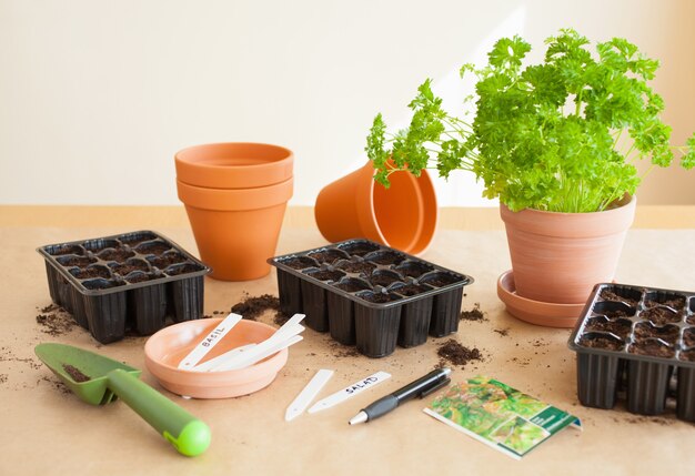 Tuinieren, thuis planten. zaaien in kiemkast