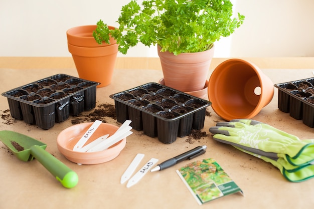 Tuinieren, thuis planten. zaaien in kiemkast