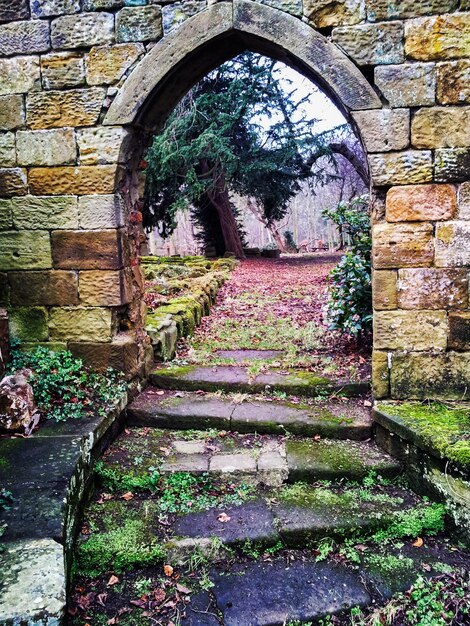 Foto tuiningang in de ruïnes van gisborough priory in noord-yorkshire