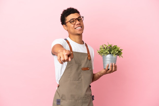 Tuinman Afrikaanse man met een plant geïsoleerd op een roze achtergrond die naar voren wijst met een gelukkige uitdrukking