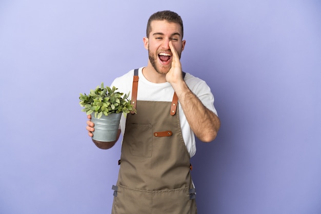 Tuinman blanke man met een plant geïsoleerd op geel schreeuwen met wijd open mond