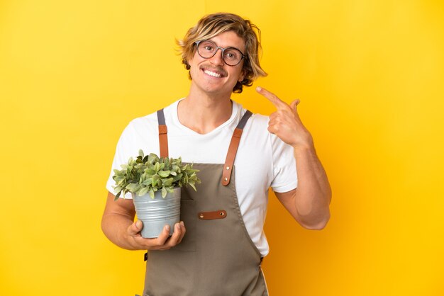 Tuinman blonde man met een plant geïsoleerd op geel met een duim omhoog gebaar