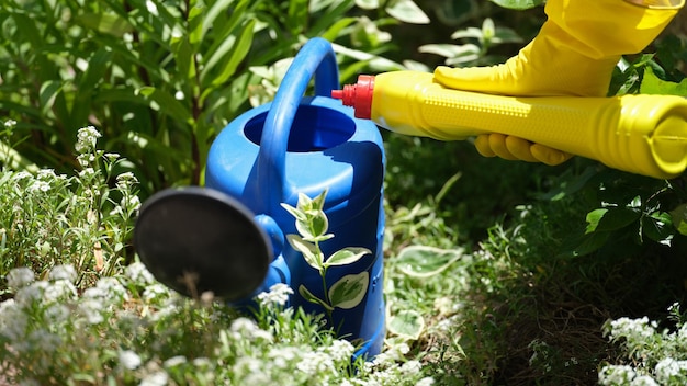 Tuinman gieten gieter van kunstmest voor planten close-up tuinieren verbeteren bodemvruchtbaarheid