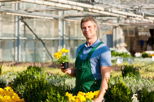 Tuinman in zijn serre met bloemen