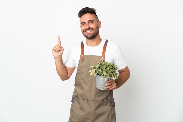 Tuinman man die een plant over geïsoleerde witte achtergrond toont en een vinger opheft als teken van het beste