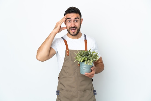 Tuinman man met een plant geïsoleerd op een witte achtergrond met verrassing expressie