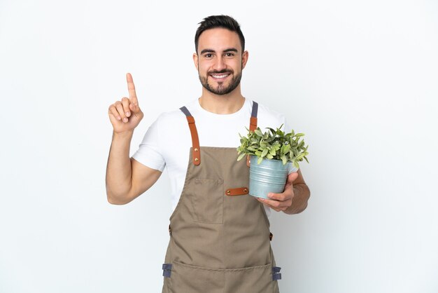 Tuinman man met een plant geïsoleerd op een witte muur met een geweldig idee