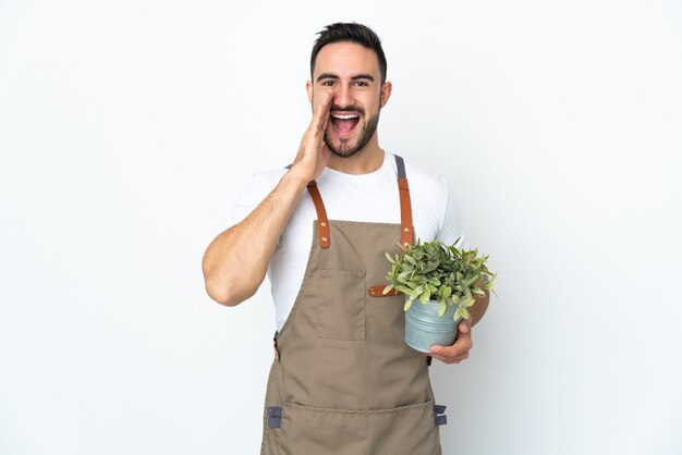 Tuinman man met een plant geïsoleerd op een witte muur schreeuwen met wijd open mond