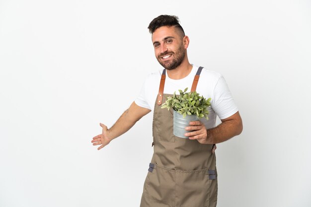 Tuinman man met een plant over een geïsoleerde witte achtergrond die zijn handen naar de zijkant uitstrekt om uit te nodigen om te komen