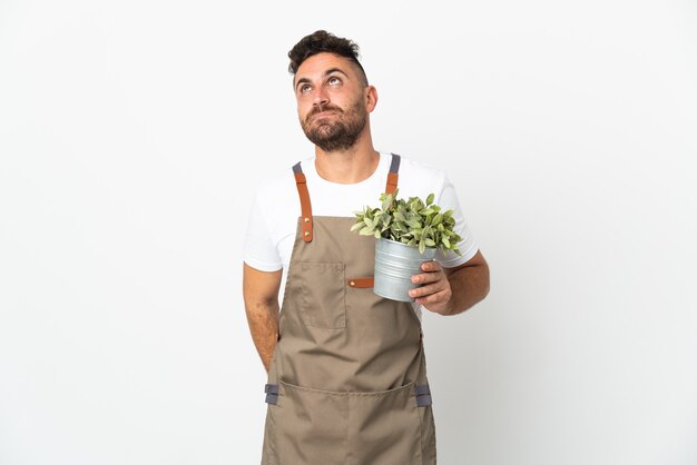 Tuinman man met een plant over geïsoleerde witte achtergrond en opzoeken