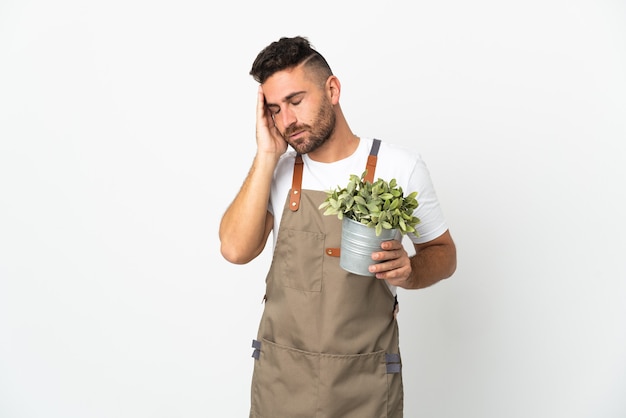 Tuinman man met een plant over geïsoleerde witte achtergrond met hoofdpijn