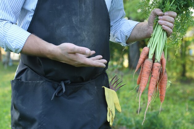 Tuinman man met worteloogst in een hand