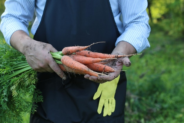 Tuinman man met worteloogst in een hand